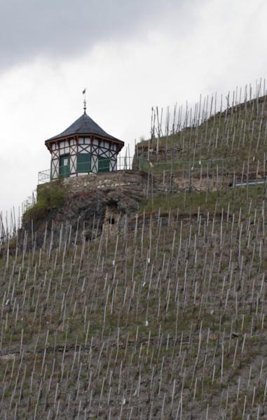 Weingut & Gaestehaus Schmitz-Bergweiler Bernkastel-Kues Exteriör bild