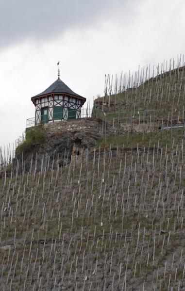 Weingut & Gastehaus Schmitz-Bergweiler Hotell Bernkastel-Kues Exteriör bild