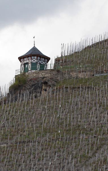 Weingut & Gaestehaus Schmitz-Bergweiler Bernkastel-Kues Exteriör bild